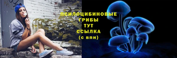 индика Абаза